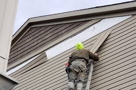 Best Storm Damage Siding Repair  in Lemmon, SD